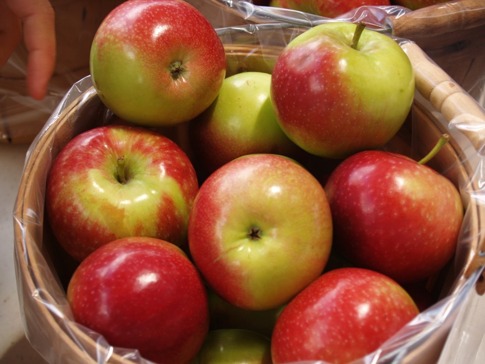 -Copyright Jennifer Haehnel Photography, August 2007